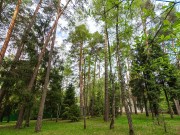 Аренда дома Сосны 1 1250 м² Рублево-Успенское шоссе - 466679 - foto_or4