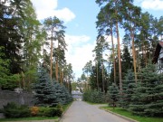 Продажа дома Сосновый бор (Николина Гора) 600 м² Рублево-Успенское шоссе - 570139 - foto_or2