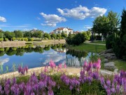 Продажа дома Николино 660 м² Рублево-Успенское шоссе - 424592 - foto_br1