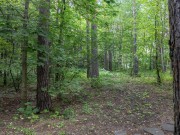 Продажа дома Белая Гора 600 м² Новорижское шоссе - 510772 - foto_or3
