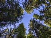 Продажа дома Глаголево-парк 700 м² Киевское шоссе - 622932 - 622932