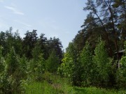 Продажа участка Саланг 20 соток Рублево-Успенское шоссе - foto3