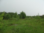 Продажа участка Горышкино 150 соток Рублево-Успенское шоссе - foto3