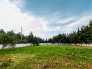 Продажа участка Дунино 22 сотки Рублево-Успенское шоссе - foto6