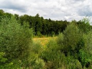 Продажа участка Лесное-Озерное 84 сотки Куркинское шоссе - foto2