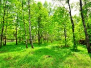 Продажа участка Бузаево 15 соток Рублево-Успенское шоссе - foto2
