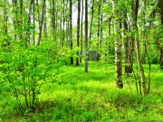 Продажа участка Бузаево 15 соток Рублево-Успенское шоссе - foto4