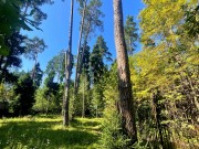 Продажа участка Никологорский (Коттон Вей) 24 сотки Рублево-Успенское шоссе - foto2