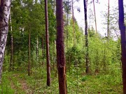 Продажа участка Никологорский (Коттон Вей) 24 сотки Рублево-Успенское шоссе - foto3