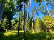 Продажа участка Никологорский (Коттон Вей) 24 сотки Рублево-Успенское шоссе - foto5