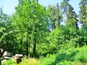 Продажа участка Никологорский (Коттон Вей) 24 сотки Рублево-Успенское шоссе - foto7
