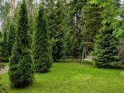 Продажа участка Горки-6 170 соток Ильинское шоссе - foto5