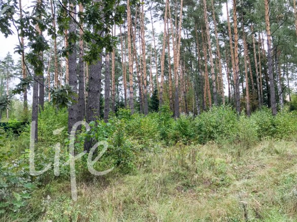 Продажа участка Жуковка 41 сотка Рублево-Успенское шоссе - foto1