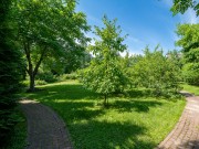 Продажа участка Озерный 15 соток Новорижское шоссе - foto7