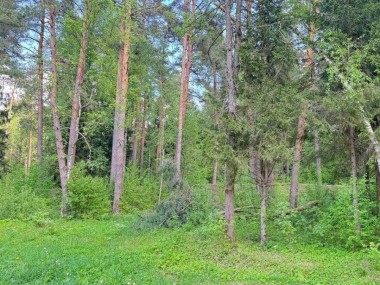 Продажа участков Ильинское - Маслово - 57448