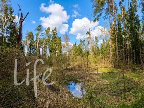 Продажа участка Николино 107 соток Рублево-Успенское шоссе - 646891