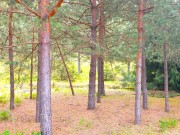 Продажа участка Красновидово 2 16 соток Новорижское шоссе - foto4