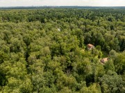 Продажа участка Дарьино 1150 соток Рублево-Успенское шоссе - foto2