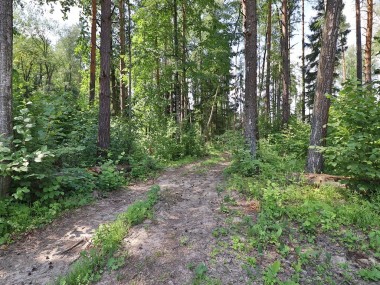 Продажа участков М11 - Новогорск - 57939
