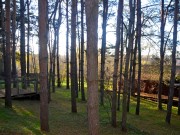 Продажа участка Лобаново 1260 соток Новорижское шоссе - foto6