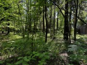 Продажа участка Успенские Дачи-1 УПДП 23 сотки Рублево-Успенское шоссе - foto2