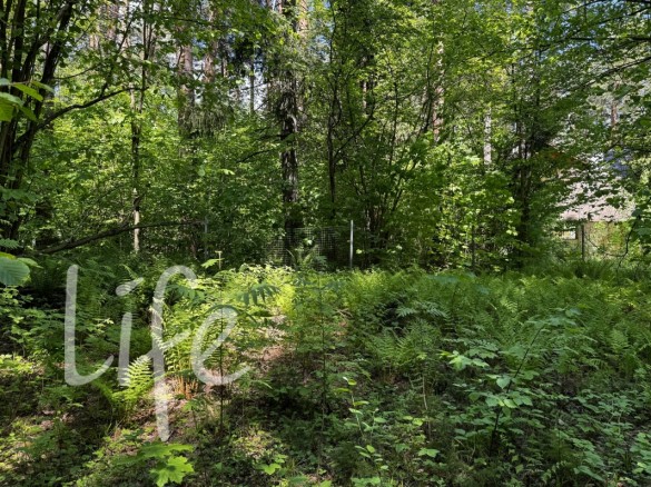 Продажа участка Успенские Дачи-1 УПДП 23 сотки Рублево-Успенское шоссе - foto1