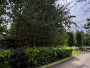 Продажа участка Саланг 130 соток Рублево-Успенское шоссе - foto2