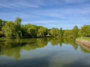 Продажа участка НИИ Радио 35 соток Минское шоссе - foto2