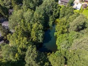 Продажа участка Леоново 54 сотки Новорижское шоссе - foto3