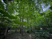 Продажа участка Академические дачи 24 сотки Рублево-Успенское шоссе - foto2