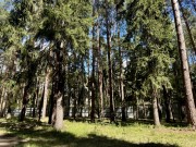 Продажа участка Успенские Дачи-1 УПДП 49 соток Рублево-Успенское шоссе - foto3