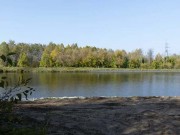 Продажа участка Батюшково 1130 соток Дмитровское шоссе - foto3