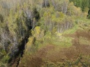 Продажа участка Батюшково 1130 соток Дмитровское шоссе - foto6