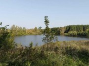 Продажа участка Батюшково 1130 соток Дмитровское шоссе - foto7