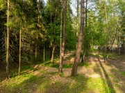 Продажа участка Маслово 50 соток Рублево-Успенское шоссе - foto3