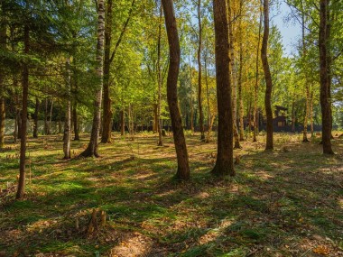 Продажа участков Киевское - Зеленые холмы - 59040