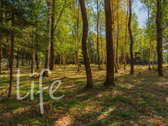 Продажа участка Зеленые холмы 25 соток Киевское шоссе - foto1