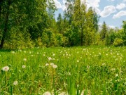 Продажа участка Президент 15 соток Калужское шоссе - 626114