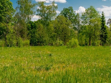 Продажа участков Боровское - Президент - 59303