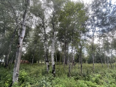 Продажа участков Рублево-Успенское - Раздоры - 59353