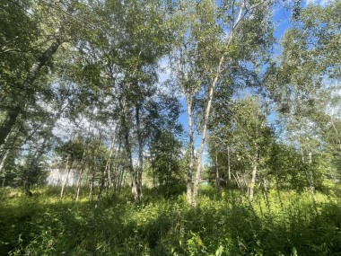 Продажа участков Рублево-Успенское - Раздоры - 59354