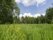 Продажа участка Ильинский ландшафт 20 соток Новорижское шоссе - 638885