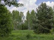 Продажа участка Ильинский ландшафт 20 соток Новорижское шоссе - 638889