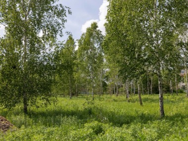 Продажа участков Новорижское - Ильинский ландшафт - 59661