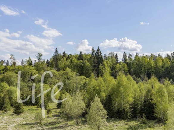 Продажа участка Середнево 46 соток Киевское шоссе - 642942