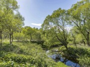 Продажа участка Середнево 19 соток Киевское шоссе - 642940