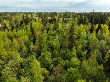 Продажа участков Рублево-Успенское - Иславское - 60041