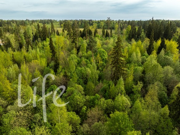 Продажа участка Иславское 12 соток Рублево-Успенское шоссе - 647397
