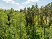 Продажа участка Резиденции Бенилюкс 270 соток Новорижское шоссе - foto4