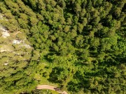 Продажа участка Резиденции Бенилюкс 270 соток Новорижское шоссе - foto8